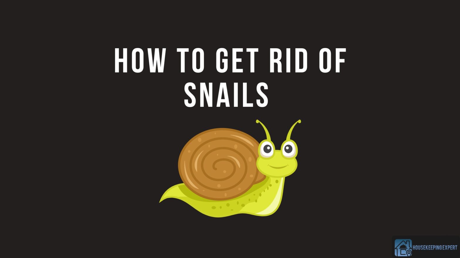 How To Get Rid Of Snails
