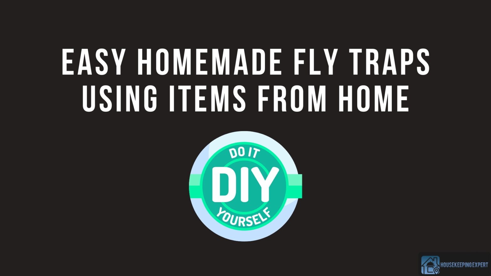Easy Homemade Fly Traps Using Items From Home
