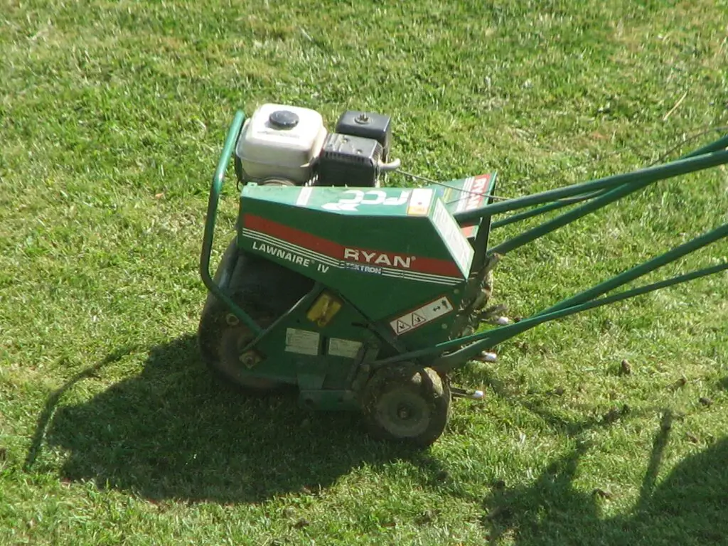 Lawn Aeration