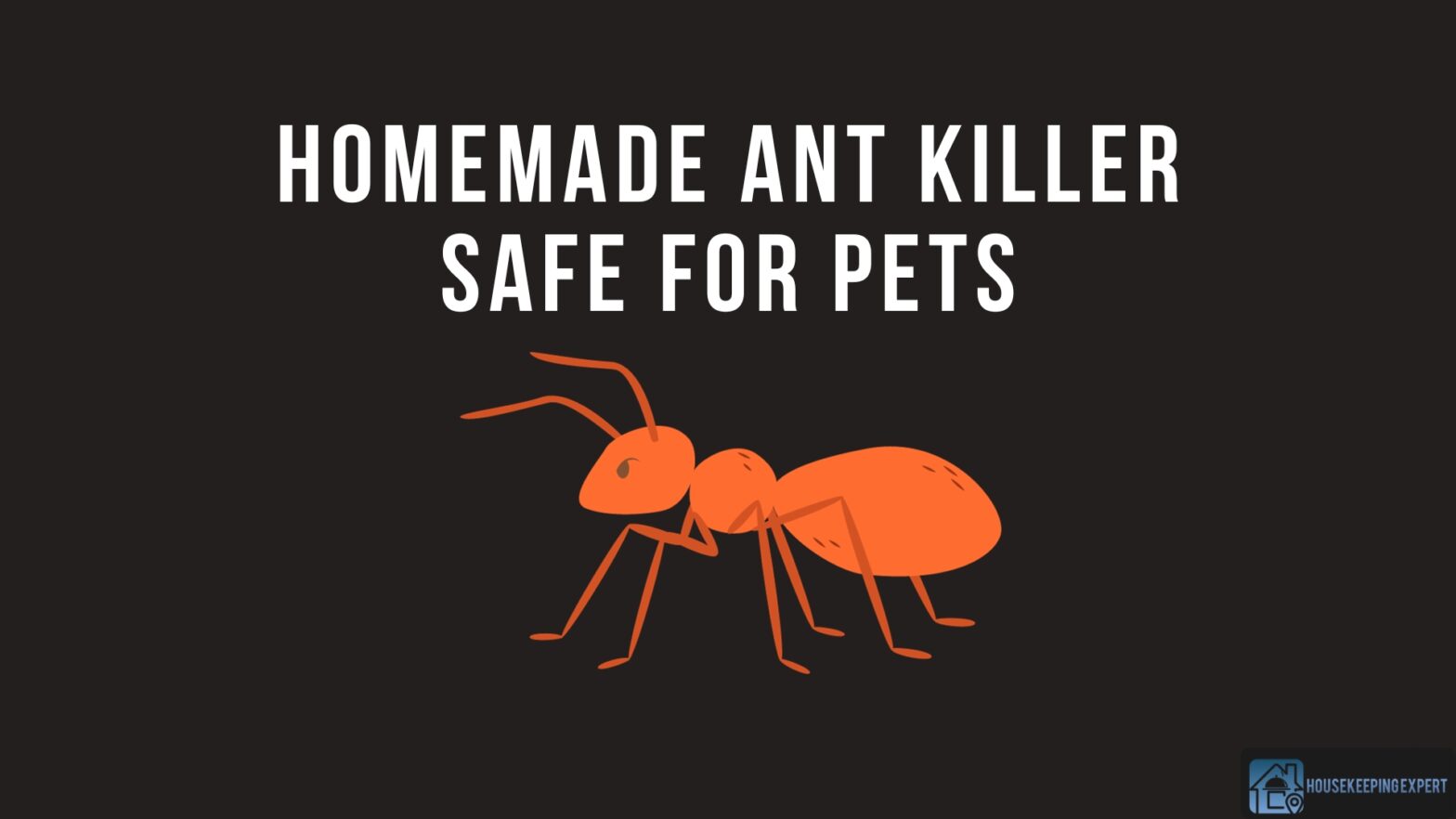 Homemade Ant Killer Safe For Pets
