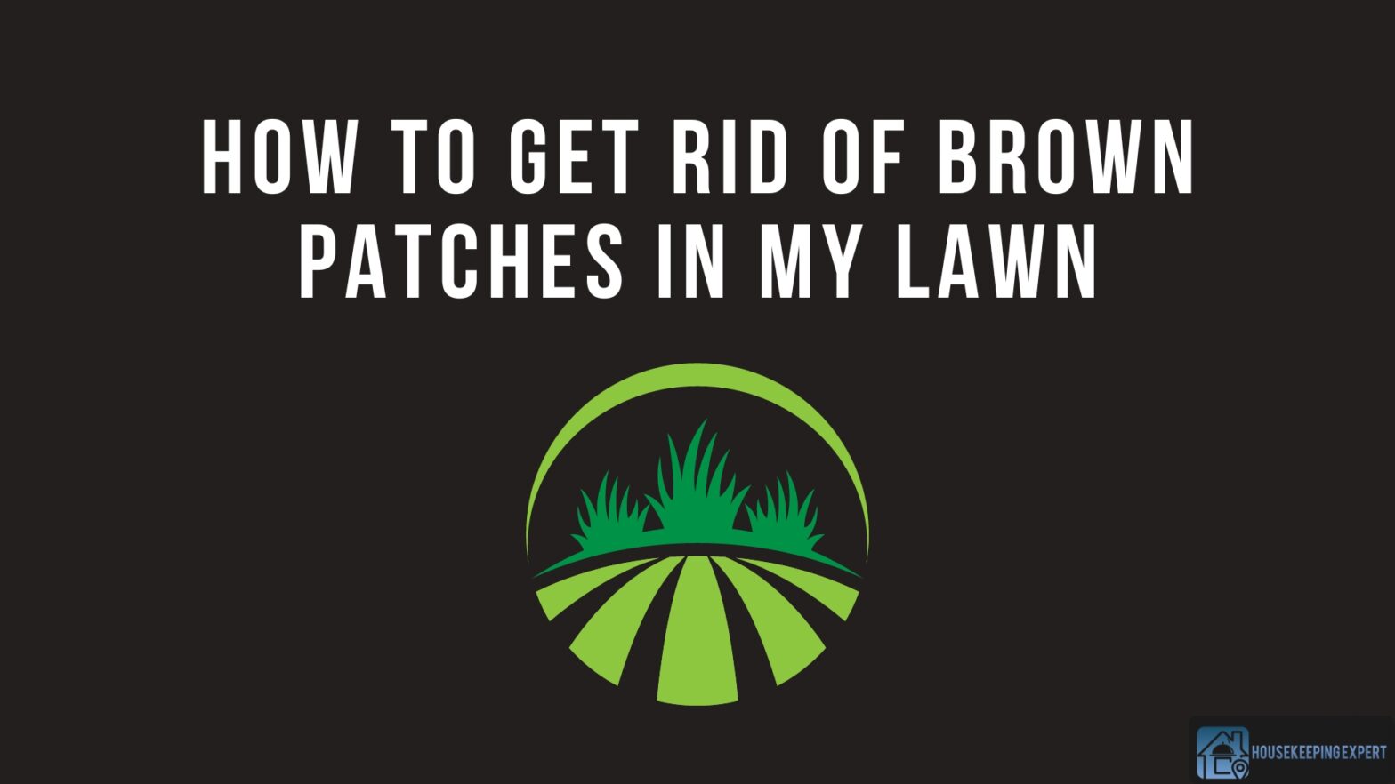 How To Get Rid Of Brown Patches In My Lawn