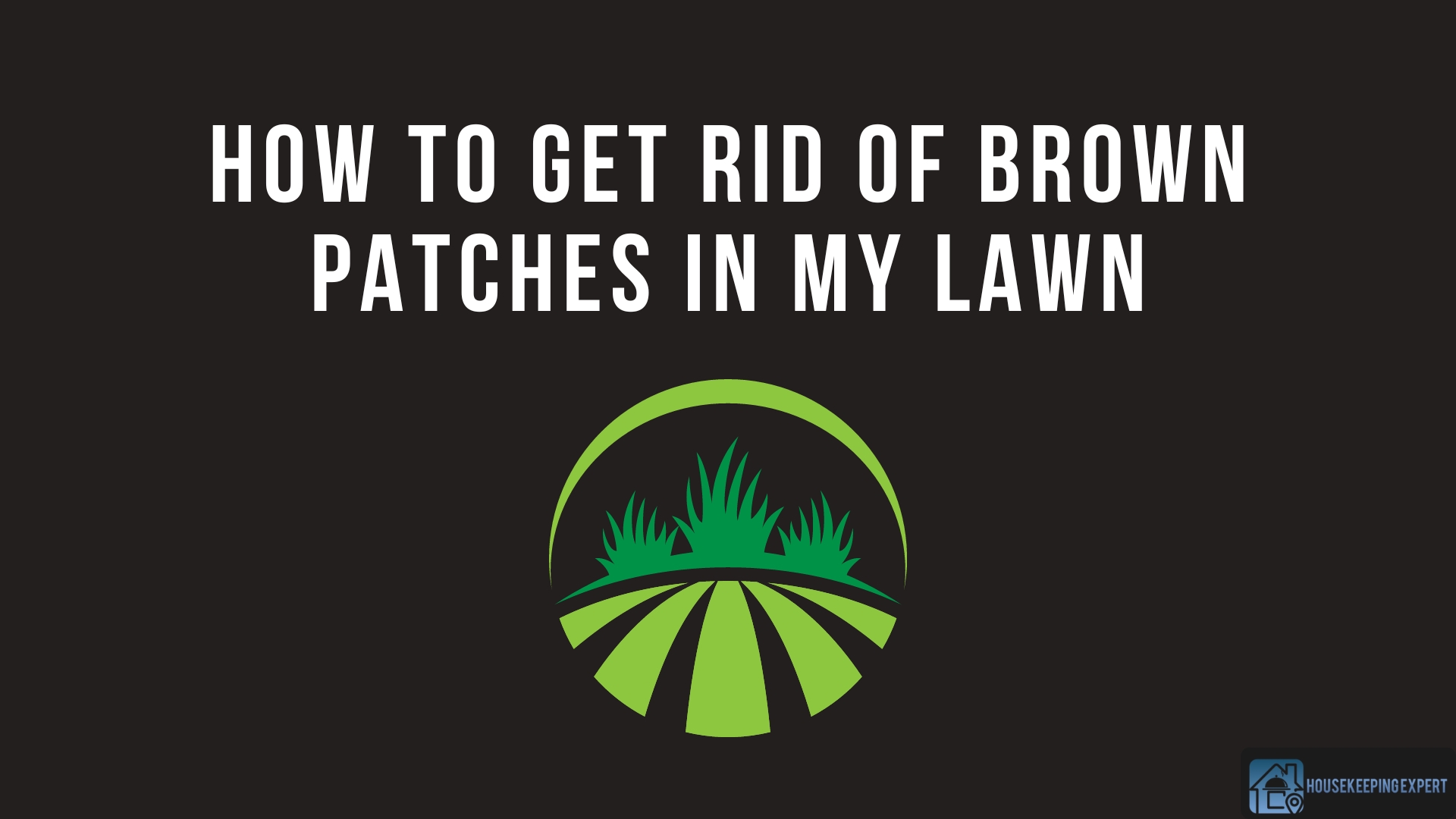 How To Get Rid Of Brown Patches In Your Lawn
