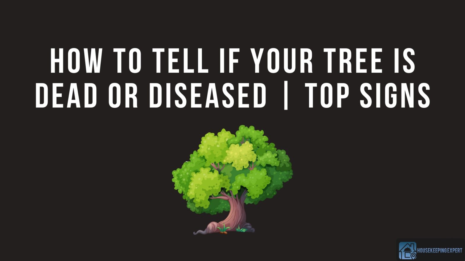 How To Tell If Your Tree Is Dead Or Diseased Top Signs