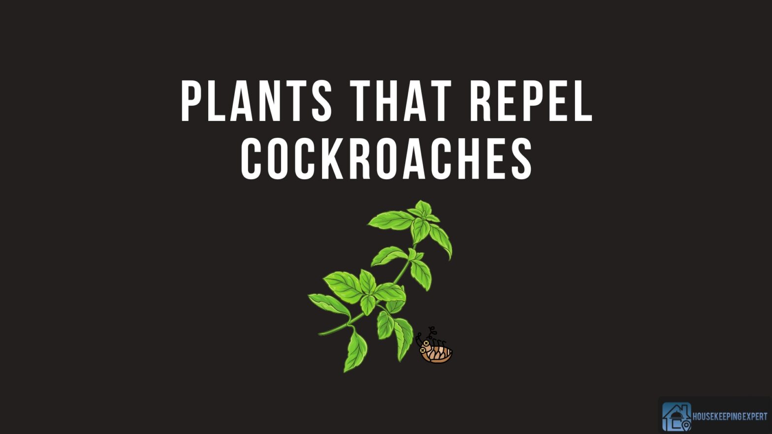 Plants That Repel Cockroaches