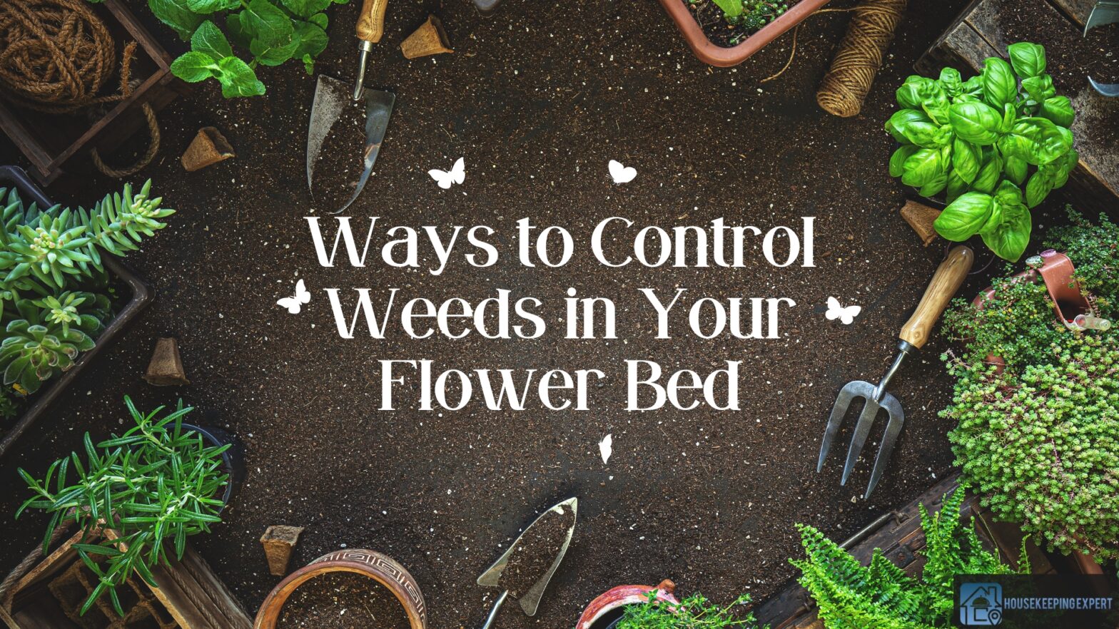 Ways To Control Weeds In Your Flower Bed